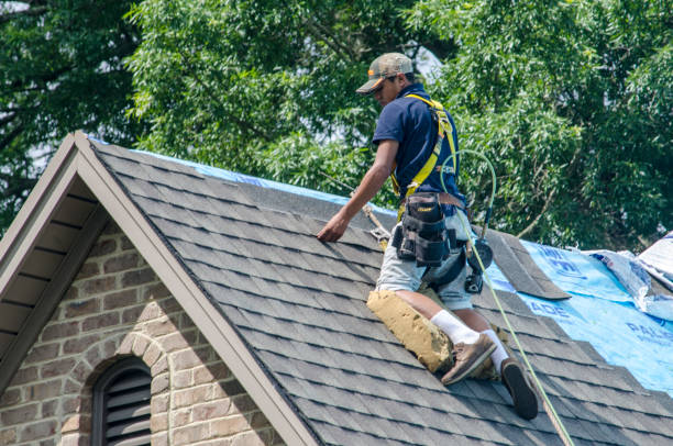 Best Roof Gutter Cleaning  in Ivanhoe, CA